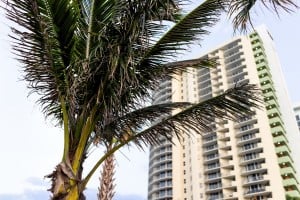 Was Hotel Damage from Hurricane? Insurer Says No 